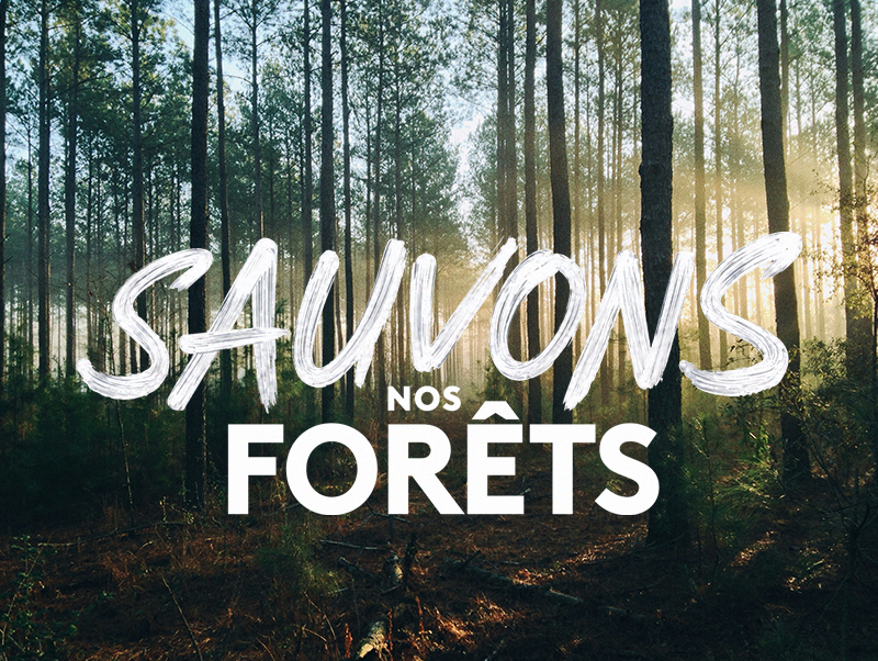 SAUVONS NOS FÔRETS